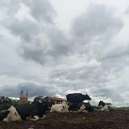 Apartman Te Encantara Duplex En