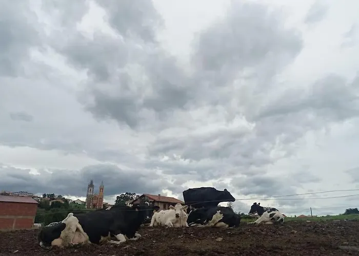 Apartment Te Encantara Duplex En