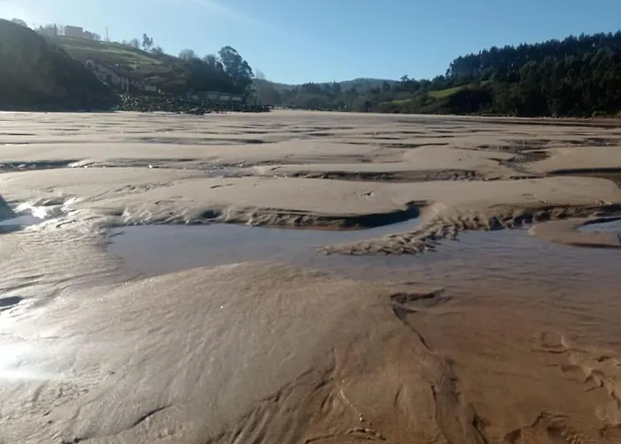 Te Encantara Duplex En *